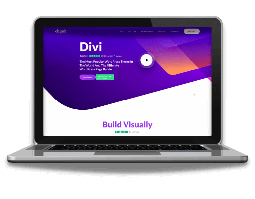 Divi Theme For Online Service Business